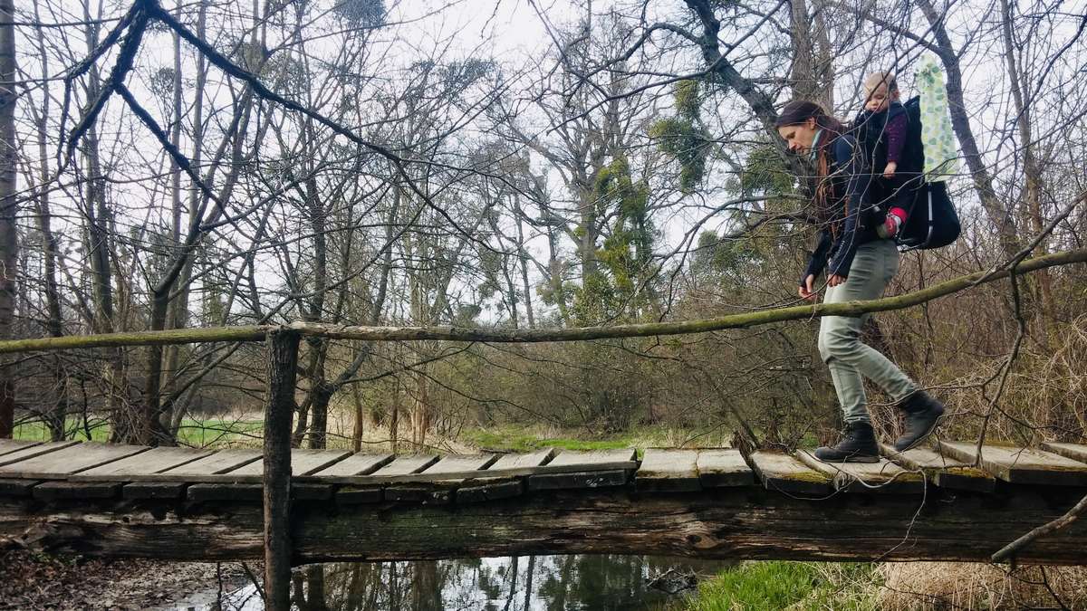 Vámi zvolený obrázek